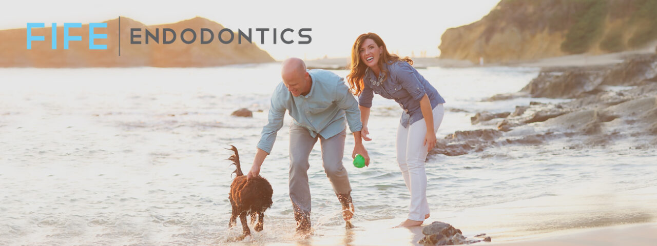 a couple on the beach playing with their dog